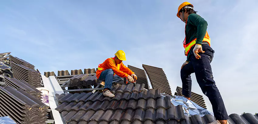 Professional Roofing Services in Evansville, WI