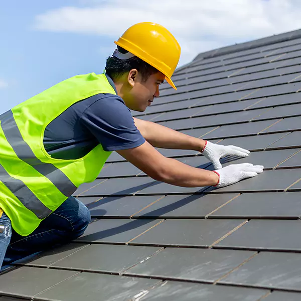 Why Evansville Businesses Rely on Absolute Roofing & Exterior for Roof Maintenance?